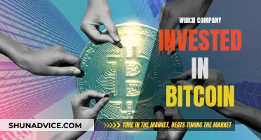 Bitcoin Investors: Exploring Corporate Interests in Crypto