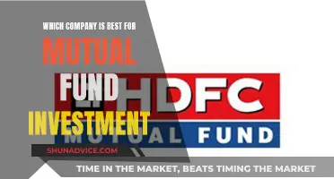 Best Mutual Fund Investment: Choosing the Right Company