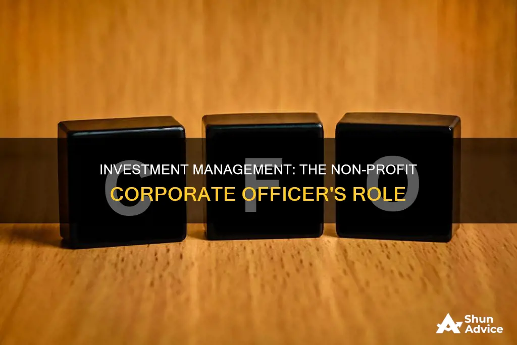 which corporate officer in non profit manages investment