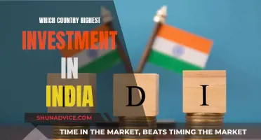 Foreign Investment in India: Who's Leading the Pack?