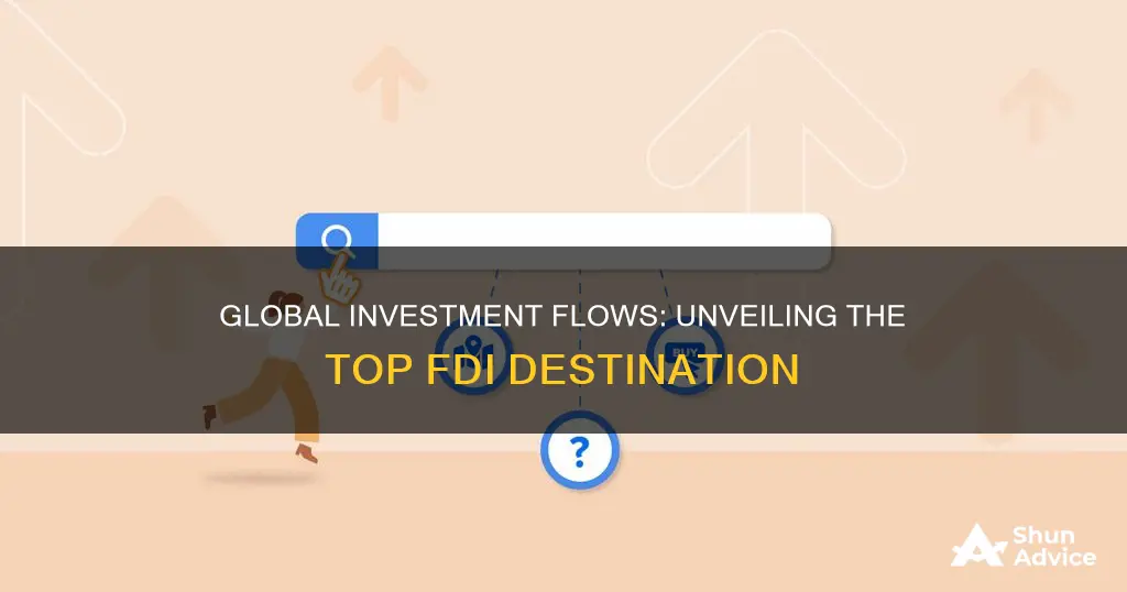 which country is the largest recipient of foreign direct investment