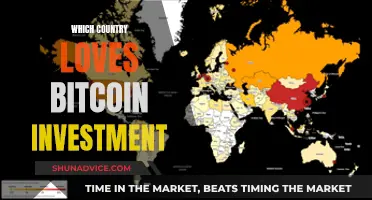 Bitcoin's Global Love Affair: Country-Wise Investment Insights