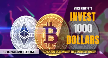 Best Crypto Investments for $1000: Top Picks