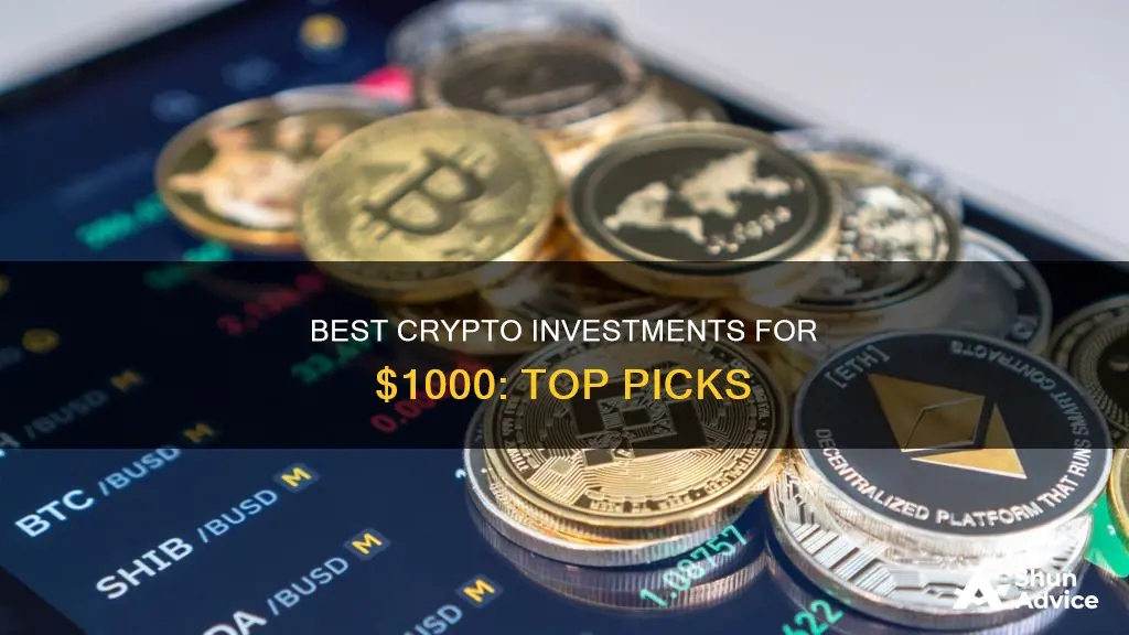 which crypto to invest 1000 dollars