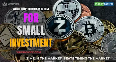 Small Investments, Big Returns: Choosing the Right Cryptocurrency