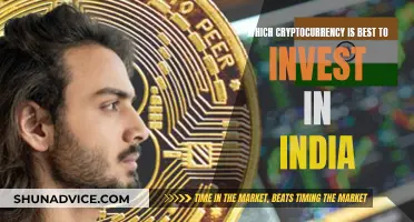 Cryptocurrency Investment Guide for Indians: Best Coins to Buy