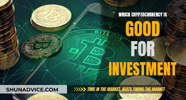 Cryptocurrency Investment: Choosing the Right Coins for Your Portfolio