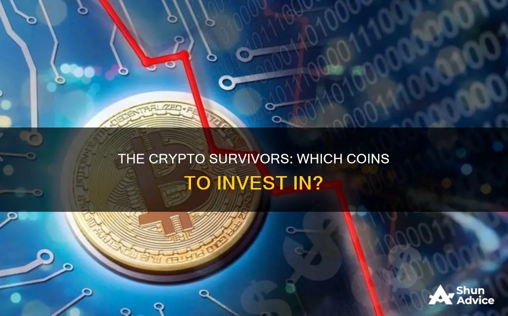 which cryptocurrency will survive to invest in