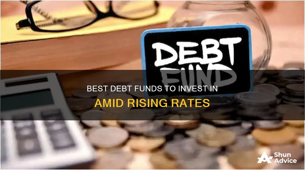 which debt funds to invest in rising interest rates