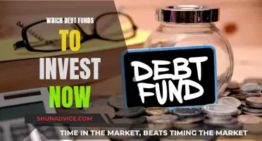 Best Debt Funds to Invest in Now