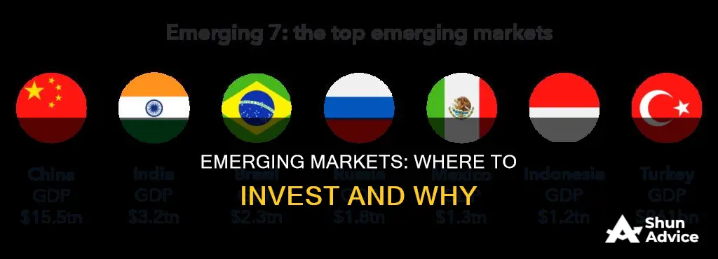 which emerging markets fund to invest in