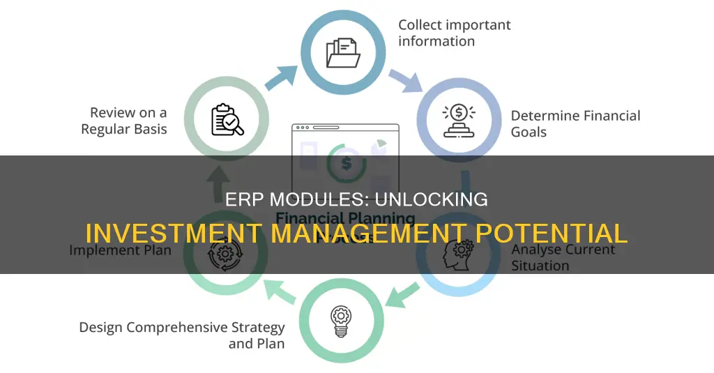 which erp module includes investment management