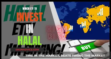 Halal ETF Investing: Picking the Right Fund