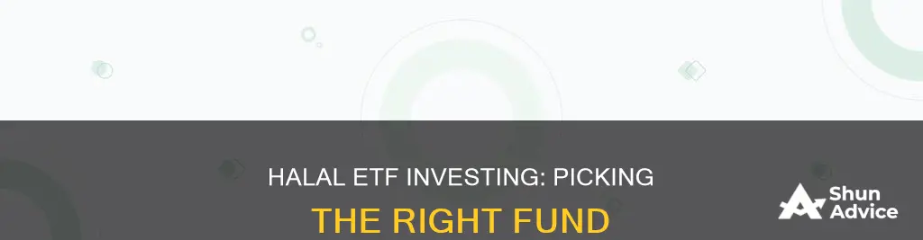 which etf to invest in halal