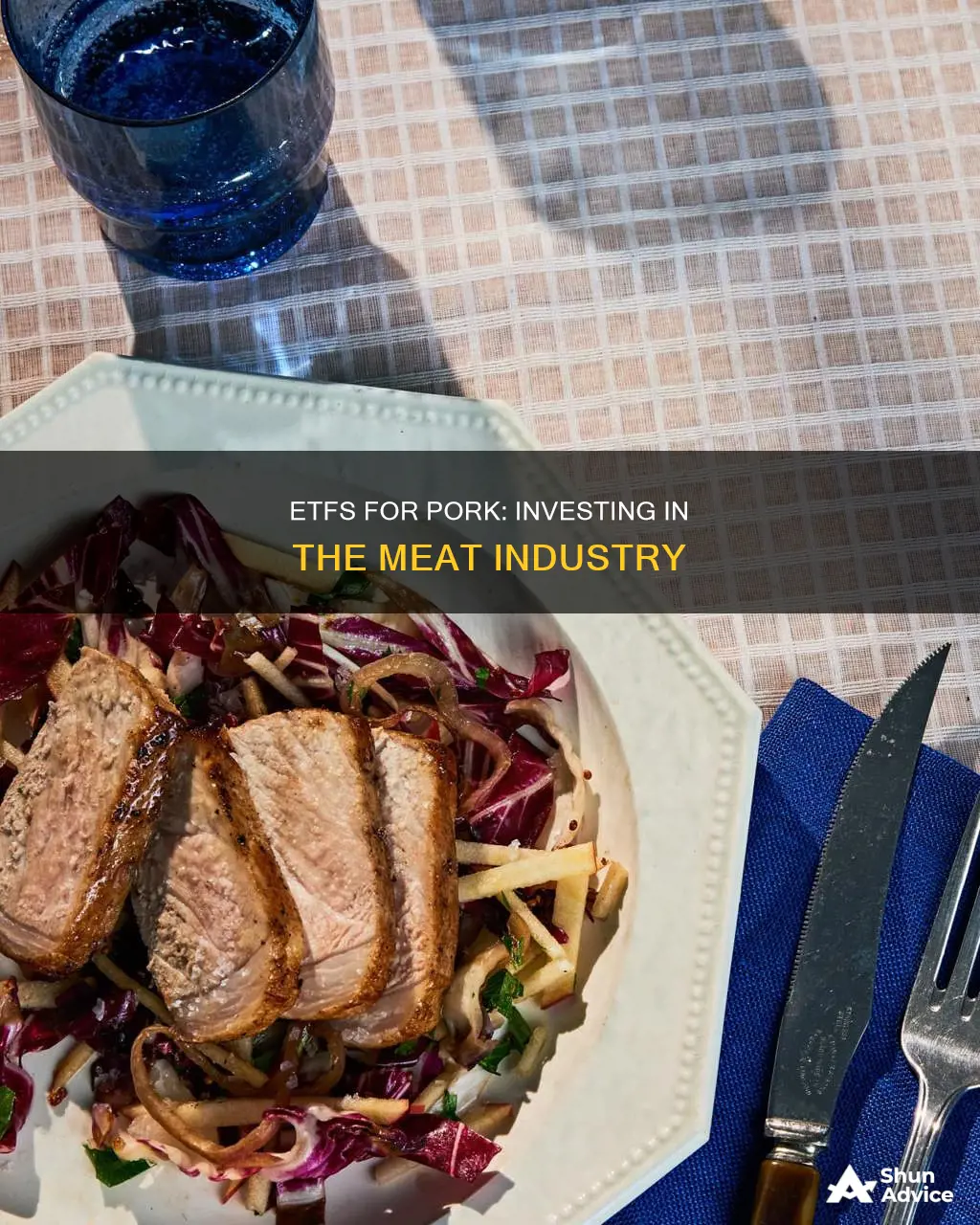 which etfs invest in pork