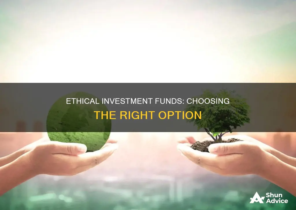 which ethical investment funds