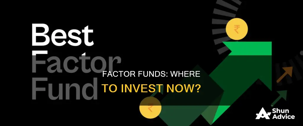 which factor funds to invest in right now