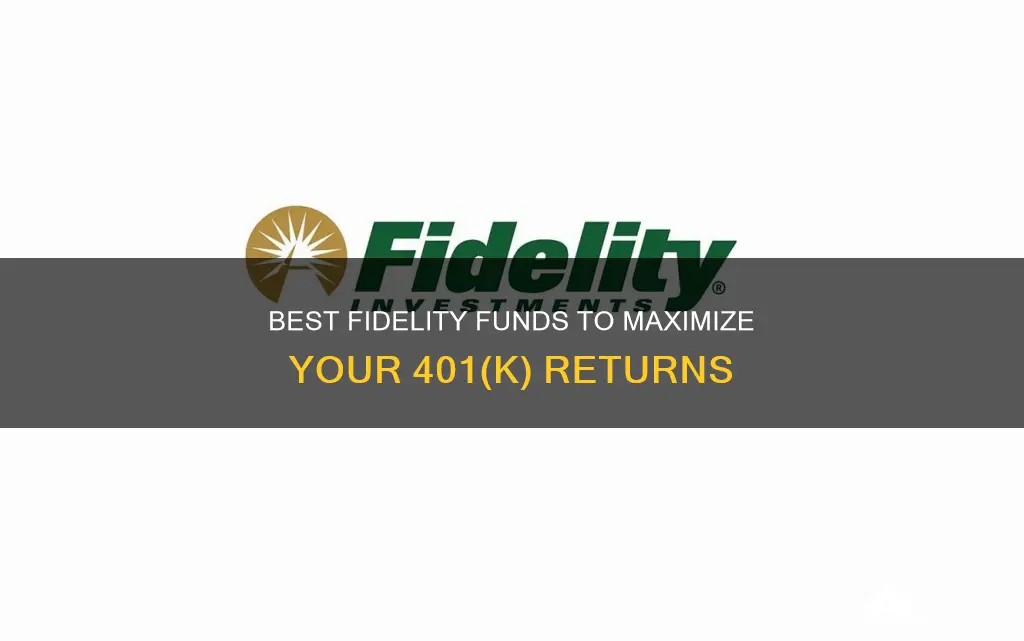 which fidelity funds to invest in 401k