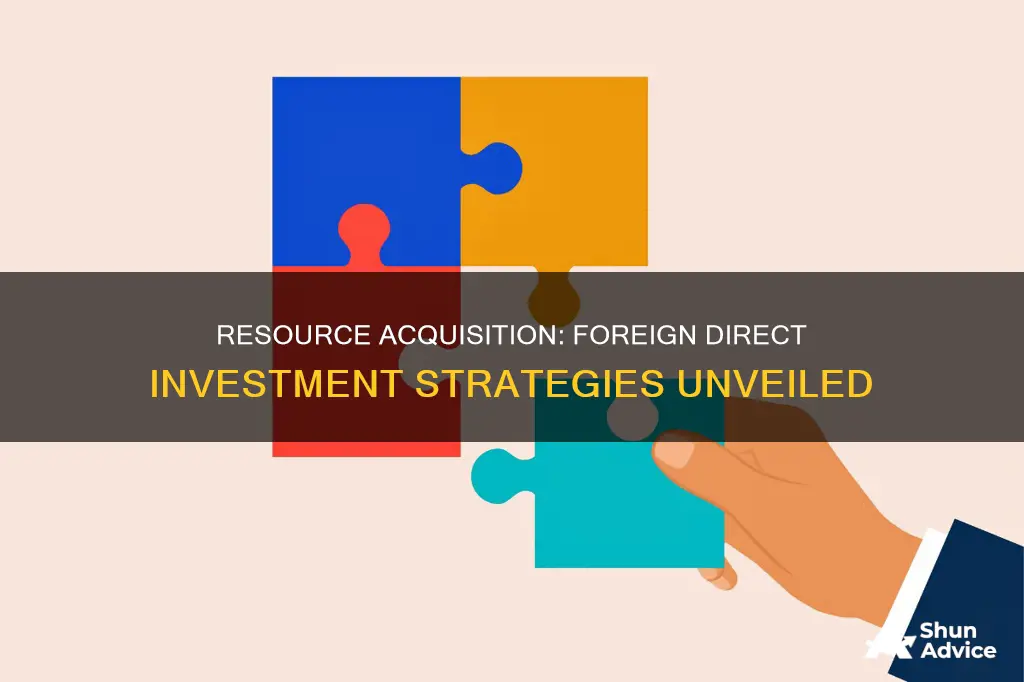 which foreign direct investment attempts to acquire particular resources