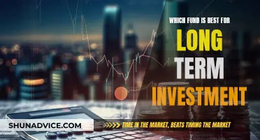 Best Funds for Long-Term Investment Strategies