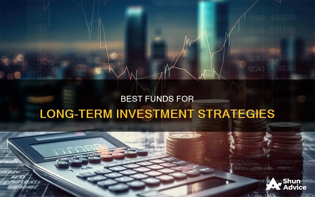 which fund is best for long term investment