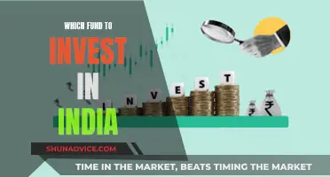 India's Best Investment Funds: Where to Invest?