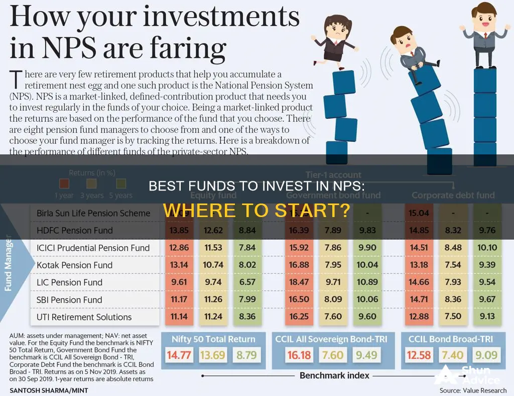 which fund to invest in nps