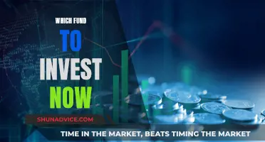 Best Funds to Invest in Right Now