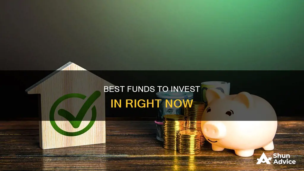 which fund to invest now