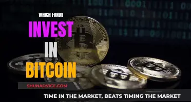 Explore Top Funds for Bitcoin Investment