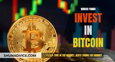 Explore Top Funds for Bitcoin Investment