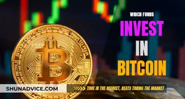 Explore Top Funds for Bitcoin Investment