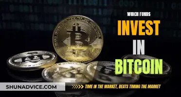 Explore Top Funds for Bitcoin Investment