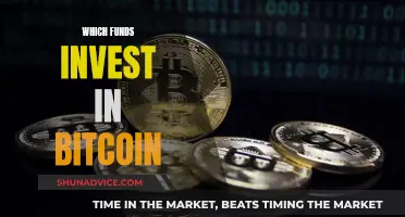 Explore Top Funds for Bitcoin Investment