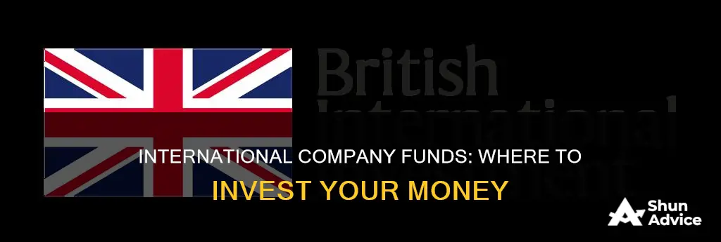 which funds invest in foreign companies