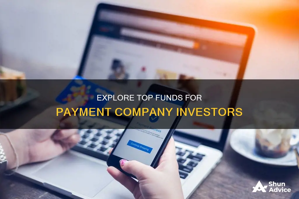 which funds invest in payment companies