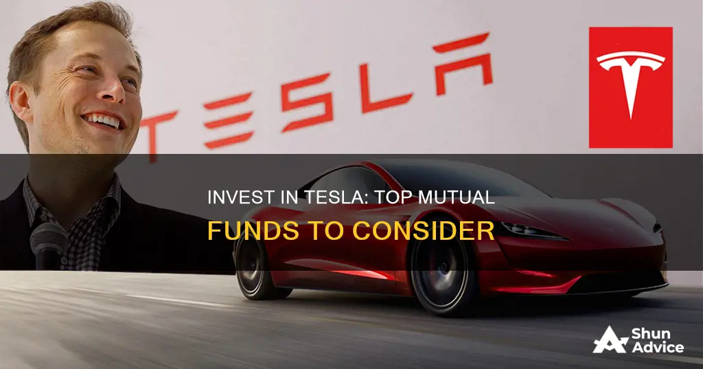 which funds invest in tesla