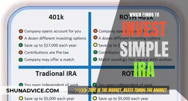 Simple IRA Investment: Choosing the Right Funds for Growth