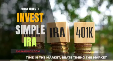 Best Funds to Invest in Your Simple IRA