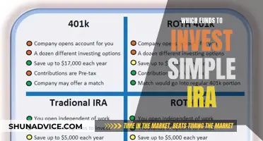 Best Funds to Invest in Your Simple IRA