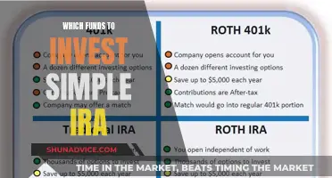 Best Funds to Invest in Your Simple IRA