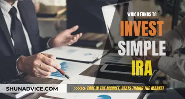 Best Funds to Invest in Your Simple IRA