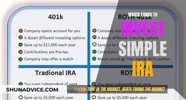 Best Funds to Invest in Your Simple IRA