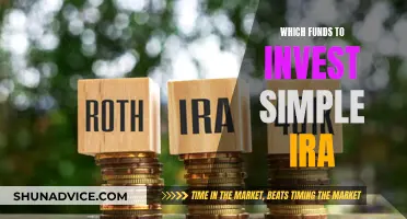 Best Funds to Invest in Your Simple IRA