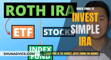 Best Funds to Invest in Your Simple IRA