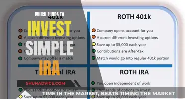 Best Funds to Invest Your Simple IRA In