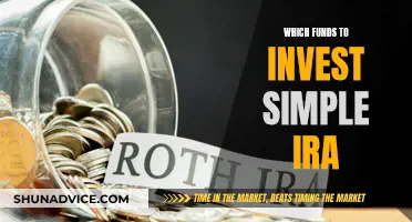 Simple IRA: Choosing the Right Funds for Your Future