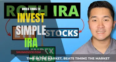 Best Funds to Invest in Your Simple IRA