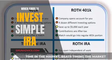 Simple IRA Investment: Choosing the Right Funds for You