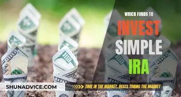 Best Funds to Invest in Your Simple IRA